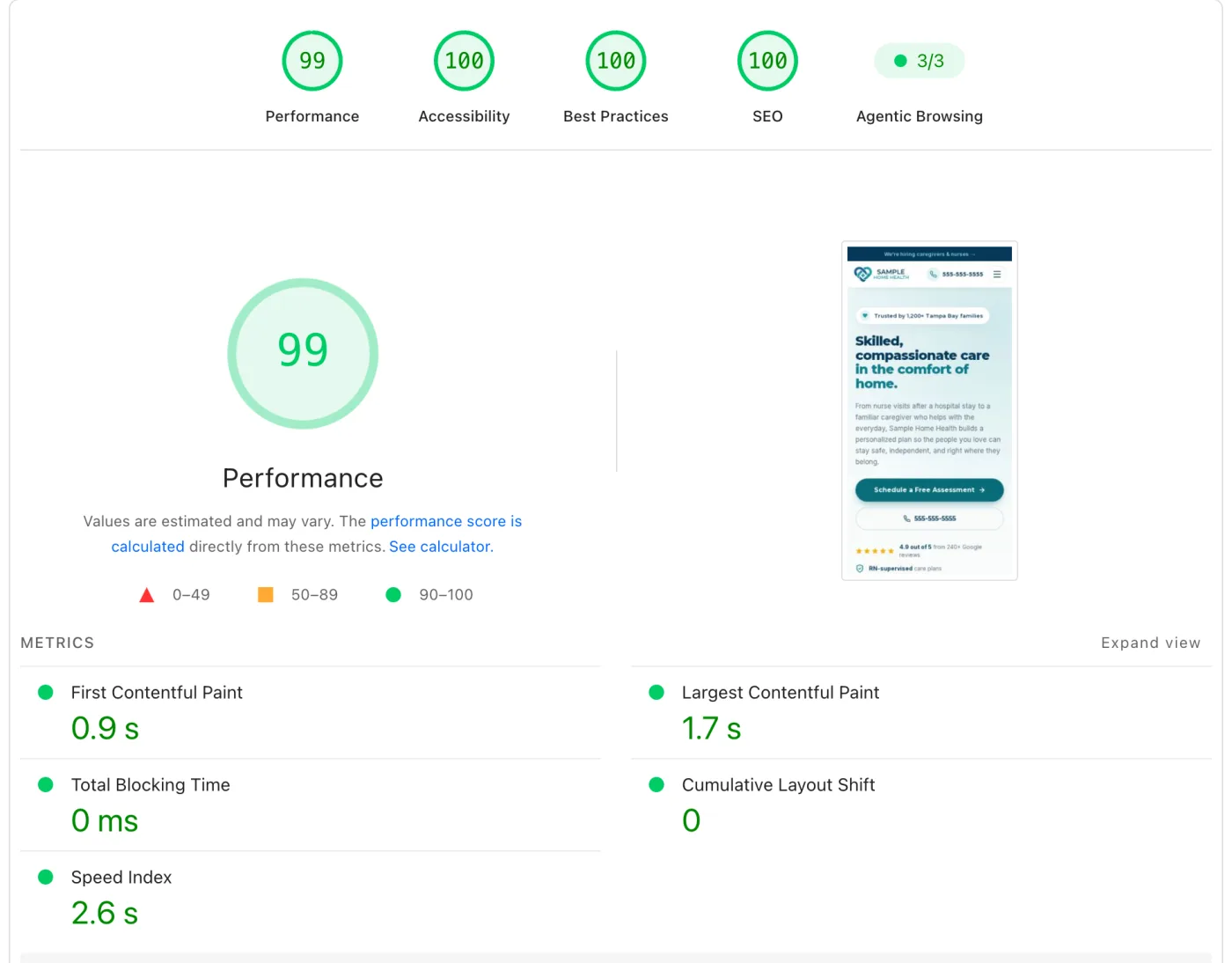 Google PageSpeed Insights mobile report: Performance 99, Accessibility 100, Best Practices 100, SEO 100